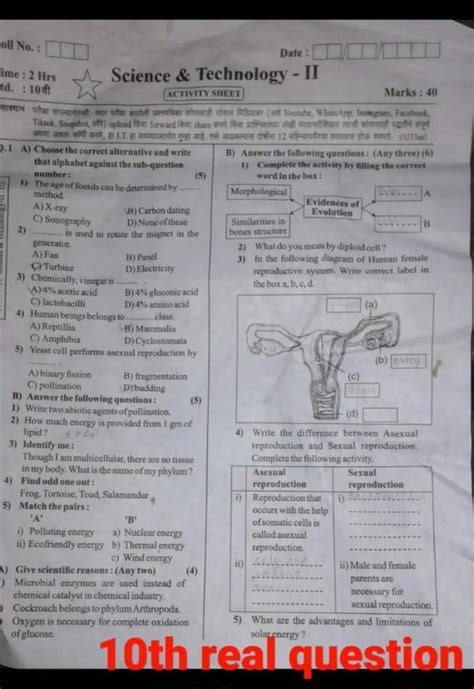 Write two abiotic agents of pollination. - Brainly.in