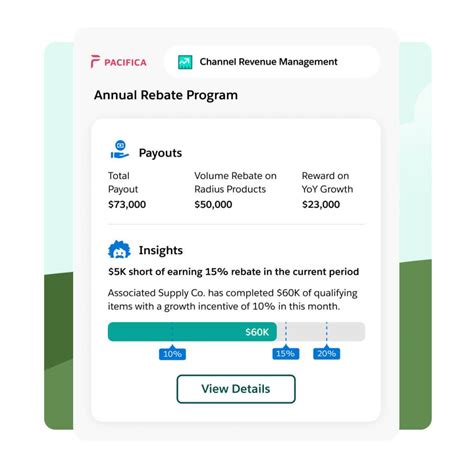 Best Channel Revenue Management Software | Salesforce Asia
