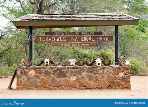 Tsavo East National Park editorial image. Image of safari - 21980755