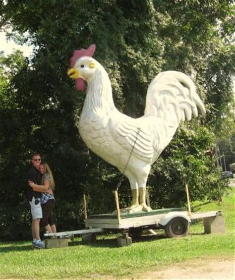 THE BEST Places to Visit in Fort Novosel (2025) - Must-See Attractions