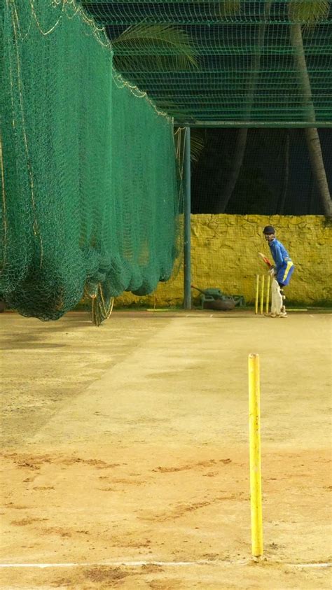 Image result for Cricket Object Detection Using Yolo