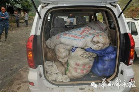男子半夜偷1400多斤芒果 被发现逃跑坠桥身亡 - 四川 - 华西都市网新闻频道
