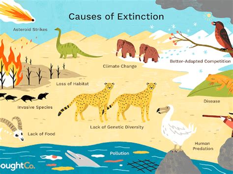 Species Extinction - Environment Notes