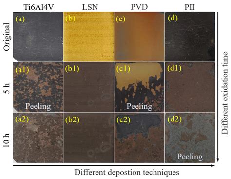 A Comparison Study on the Microstructure, Mechanical Features, and ...