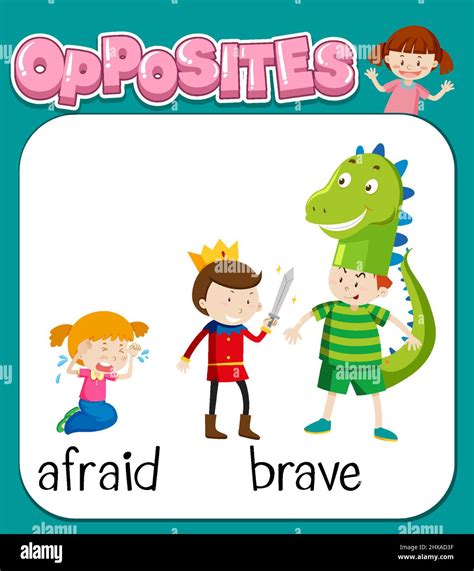 Opposite words for afraid and brave illustration Stock Vector Image ...