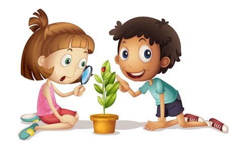 Grade 1 Science Projects 的图像结果