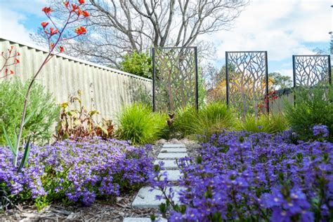 Discover Native Australian Plants for a Stunning Front Garden