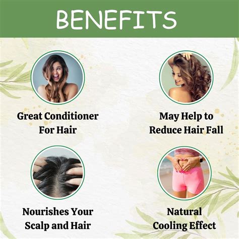 Buy Mehandi Powder for Natural Hair Coloring – Herbal Hills Wellness