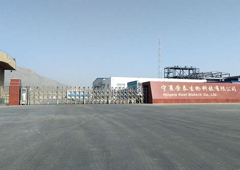 新葡萄棋牌官方网站能玩吗