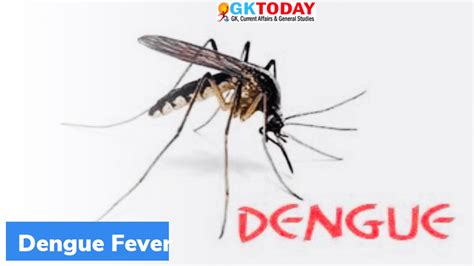 What is ‘Miraculous’ mosquito hack? – GKToday