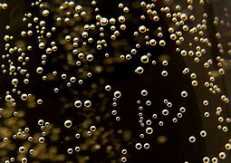 microbubbles 的图像结果