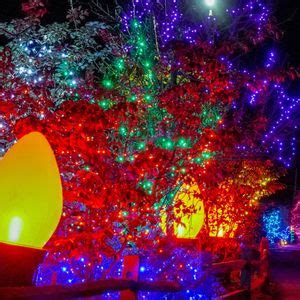 Holiday Lights Spectacular, 1000 Elmwood Ave, Providence, RI, United ...