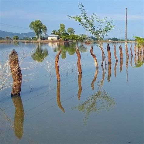 HOSTAL ORO DAULE - Guesthouse Reviews & Photos - Tripadvisor