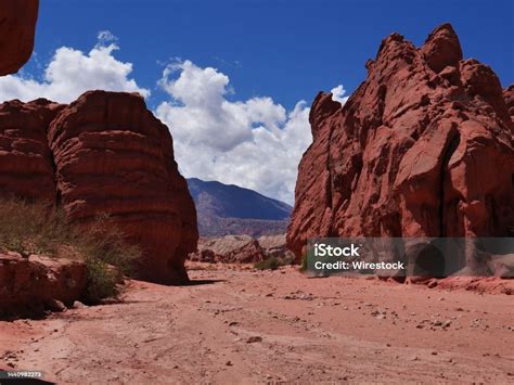 Image result for Alien Aliens Alien 3