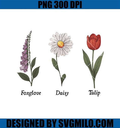 Foxglove Daisy Tulip Floral PNG, Funny Political PNG