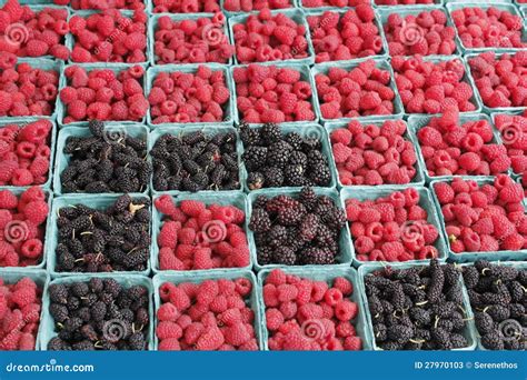 Raspberry and Blackberry Pints Stock Image - Image of blackberries ...