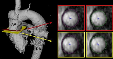 Reproducibility Example 的图像结果
