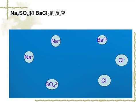 硫酸钠和氯化钡的反应的动画D_word文档在线阅读与下载_免费文档
