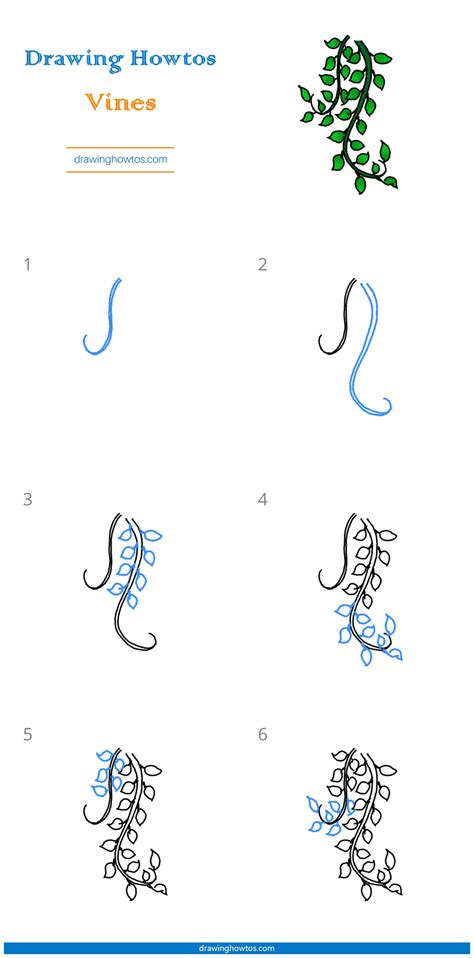 How to Draw Vines - Step by Step Easy Drawing Guides - Drawing Howtos
