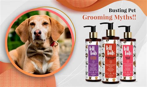 Busting Pet Grooming Myths | Telltails Grooming Solutions