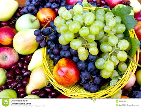 Fresh organic fruits stock photo. Image of nutrition - 23860104