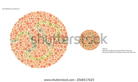 Eye Color Vision Test 的图像结果
