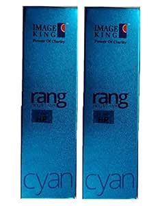 IMAGE KING RANG Ink for HP Magenta, Pack of 2 : Amazon.in: Computers ...