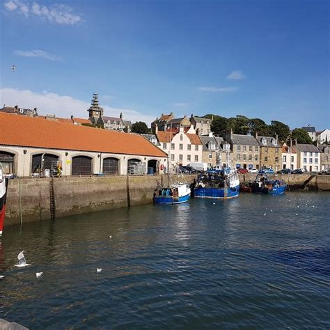 THE 5 BEST Restaurants Near Pittenweem Harbour