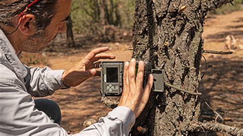 Hog Trap Shooting 的图像结果