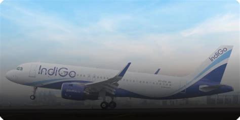 Our Purpose & Values