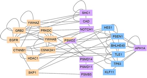 A Data Science Approach for the Identification of Molecular Signatures ...