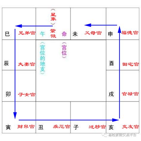 十二长生表（图）详解，五行十二宫运程表解读八字长生十二宫-八字-三堂网