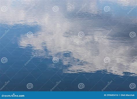 Calm Water Surface. Summer Evening Near a Forest Lake, the Surface of ...