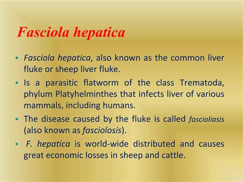 Fasciolosis in cattle | PPT