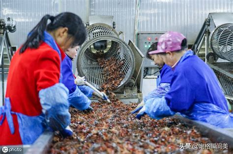 实拍工厂给小龙虾“洗澡”女工一天工作十小时 月薪过万很开心-搜狐大视野-搜狐新闻