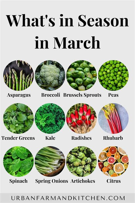 Fruits In Season March Georgia at Rebecca Hart blog