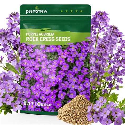 5 Best Creeping Phlox Purple | 8000 Seeds Won't Fix Your Slope
