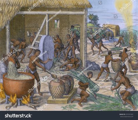 Sugar Cane Plantation Slaves