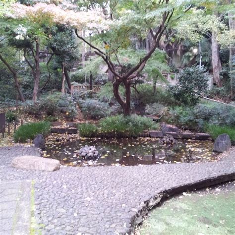 SHIMOOCHIAI YACHONO MORI PARK (2026) All You Need to Know BEFORE You Go ...