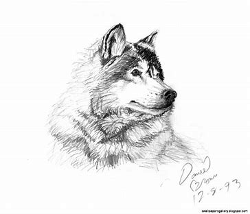 tutorial how to draw a easy landscape with pencil
