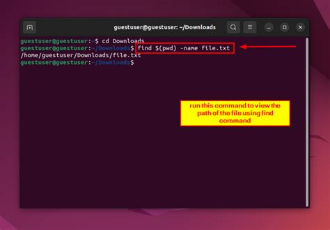 Absolute Path Linux 的图像结果