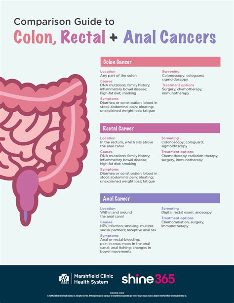 Anal cancer, colon cancer and rectal cancer: What's the difference? | Shine365