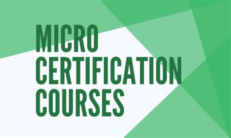Image result for Micro Certification Task