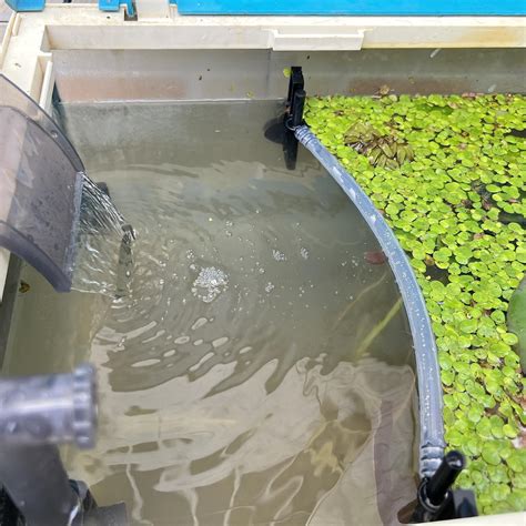 Floating Plant Fence For Aquarium Separates Plants Automatically ...