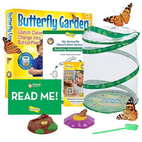 10 Best Butterfly Growing Kits for Budding Enthusiasts – ICO Optics