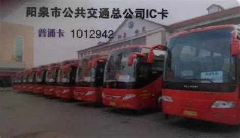 江津公交车实时查询软件截图预览_当易网