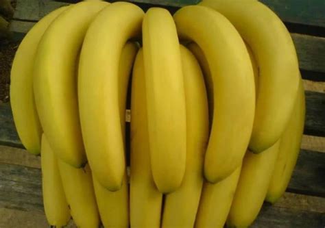 香蕉怎么保存不会熟的那么快`_百度知道