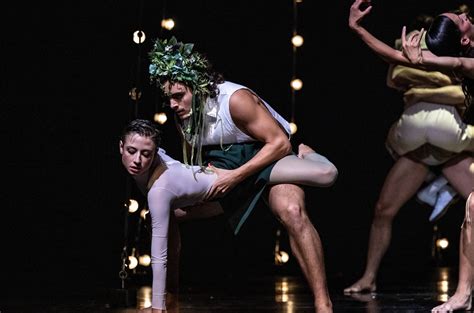 Beethovenfest: The Best Classical Music Festival in Germany - Beau ...