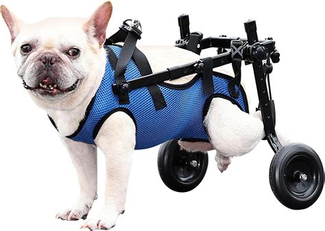 Amazon.com: Huimpet Dog Wheelchair for Back Legs, Dog Wheelchair for ...
