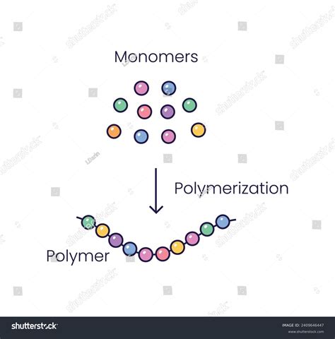 Vector Illustration Polymerization Reaction Conversion Monomers Stock ...